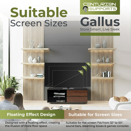 Centurion Supports Gallus Gloss Black with 2-Walnut Drawers and 3-Shelf 32"-55" LED/LCD/Plasma Cabinet TV Stand